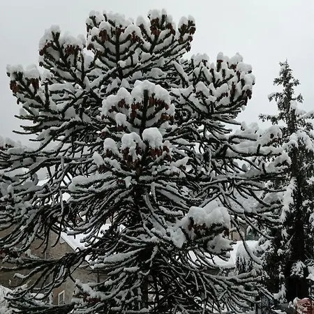 Il Giardino Di Cres Oda ve Kahvaltı Esino Lario