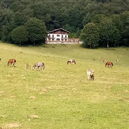 Il Giardino Di Cres * Esino Lario