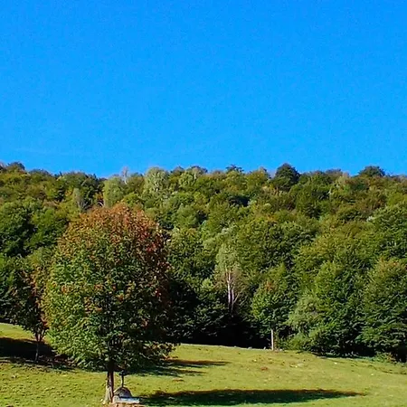 Il Giardino Di Cres Oda ve Kahvaltı Esino Lario